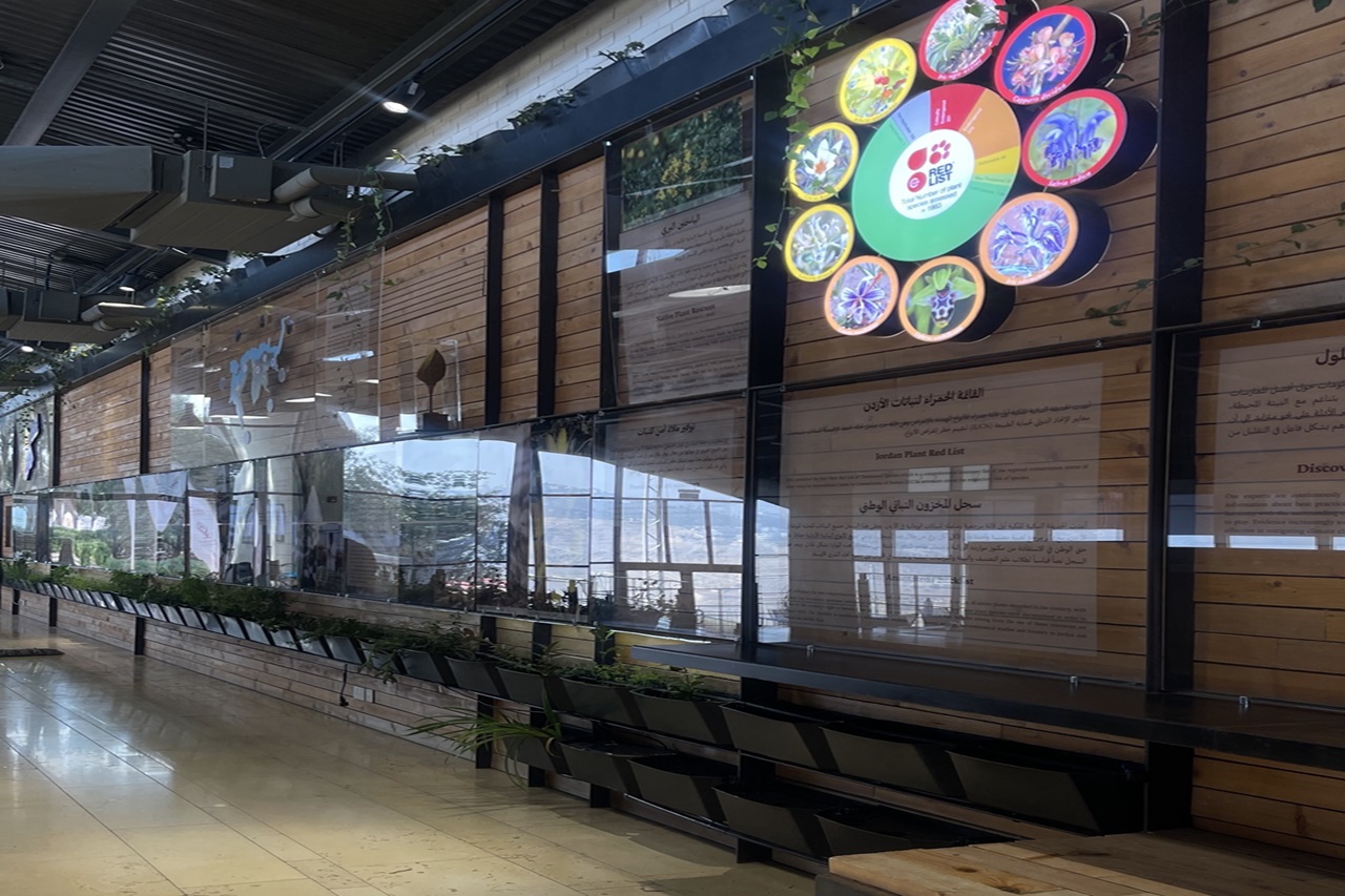 طلبة الصيدلة في "عمان العربية" يكتشفون كنوز الأعشاب الطبية في زيارة علمية للحديقة النباتية الملكية3