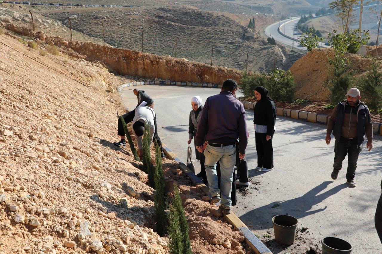 جامعة عمان العربية تنظم فعالية يوم الشجرة بالتعاون مع وزارة الزراعة وأمانة عمّان الكبرى8