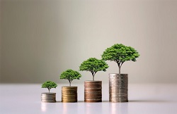 سياسة الاستثمار المستدام